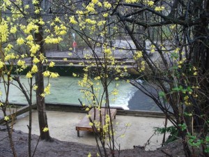 Eisbach München Bachauskehr 2011 river surfing 15